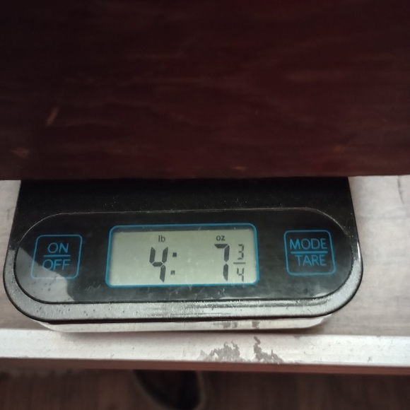 Compass - Picture 7 of 7